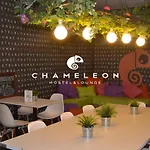 Chameleon Hostel Alicante