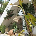 Casa Infinidad