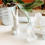Apolo