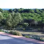 Spacious Apartment In Guardamar Del Segura With Shared Pool