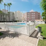 093 - Mil Palmeras Dream