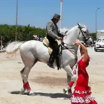 Caballito De Mar