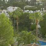 Buganvilla
