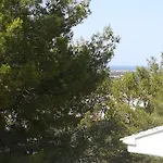 Buganvilla