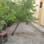 Punta Prima Bungalow Jardin Privado