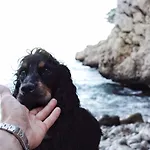 Altea Y Su Magia