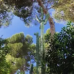 Stunning 5-Bedroom Villa, El Tosalet, Javea, Spain