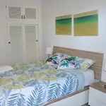 El Apartamento De Papa - Mil Palmeras