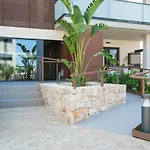 Arenal Dream II