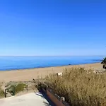 Flamingo Denia