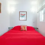 Finca 9