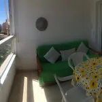 Apartamento De Vacaciones En Gemelos 22 T1 Benidorm