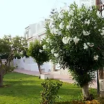 Bajo Del Sol