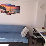 Provima Mallorca V