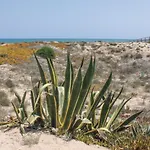 Awesome Home In La Mata-Torrevieja With 2 Bedrooms And Wifi