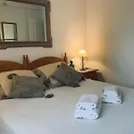 100 Pinada Guardamar