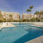 Golden Apartment In Palm Park