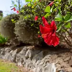 Azzurra Home-Charming Property- For 6 Guests