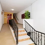 Espanatour Estudio Vega