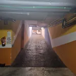 Alegria1