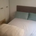 Three Private Bedrooms With Private Bathroom In Spacious Apartment In Alicante, Shared Kitchen And Living Room, The Host Lives In The Apartment