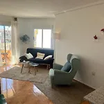 Homely Apartments San Pascual