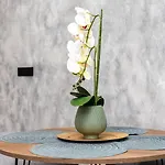 Apartamento Noguera Loft 
