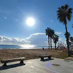 Under The Palm Trees