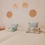 Toque Andaluz Zarzas