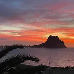 Hipocampos