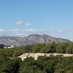 Carolinas Aptmt Orihuela