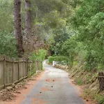C, San Nicolas