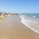 1 Bedroom Pet Friendly Apartment In Torrevieja