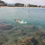 Alma Del Sol