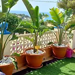 Villa Mimosa