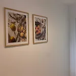 Casa Maye Terrazas De Campoamor