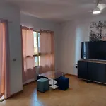 Apartamento Gabriel Miro 13