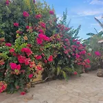 Casa De Flores