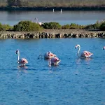 Apartamento Salamanca 4 En Santa Pola