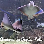 Best Holiday Santa Pola