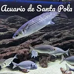 Best Holiday Santa Pola
