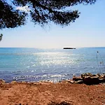 Don Cayo 17