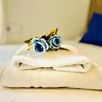 Blue Suites 23A By Gloove