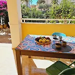 House With Palm Tree