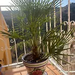 Apartman Marcella, Cumbre Del Sol