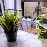 Casa Lavanda