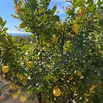 Moraira Stunning Sea Views And 3 Bedrooms