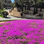 Las Colinas Golf