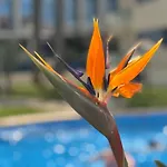 Apartamento Frente Al Nautico