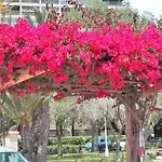 Laderas Del Sol